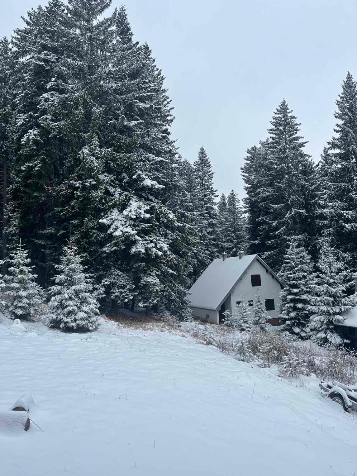 Vila Dragana Žabljak Exterior foto