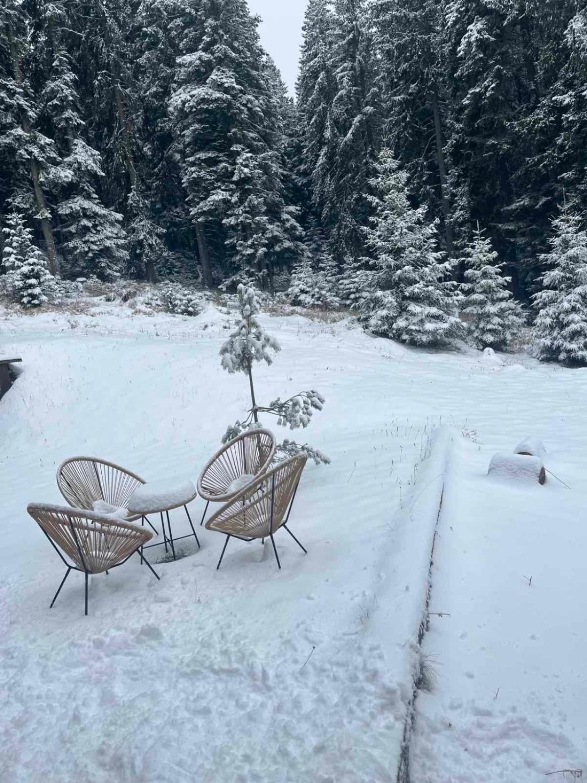 Vila Dragana Žabljak Exterior foto
